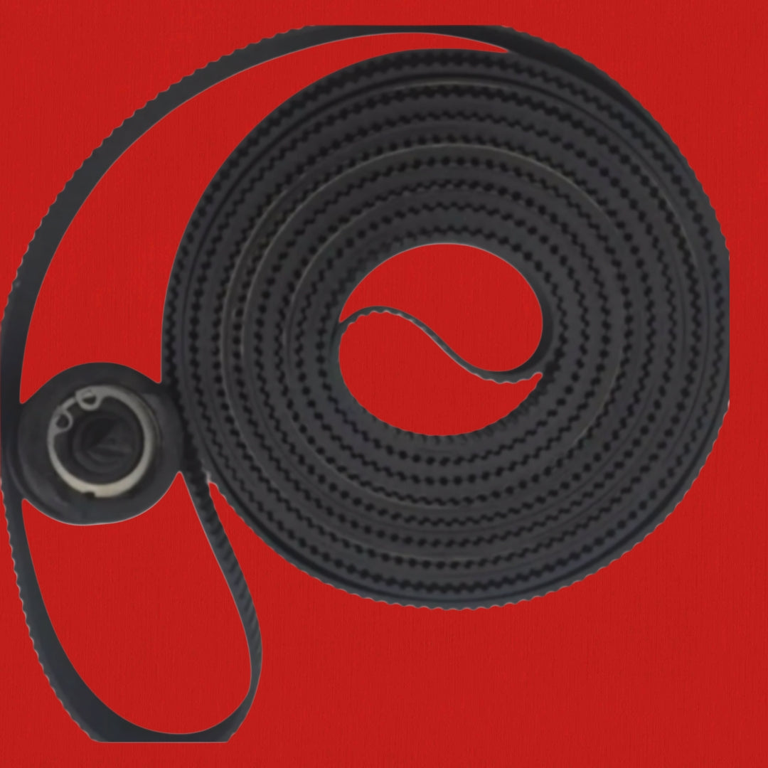 Carriage belt